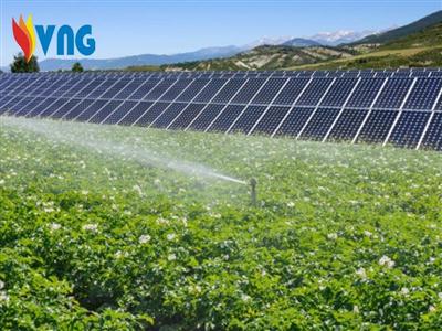 Điện năng lượng mặt trời với nông nghiệp